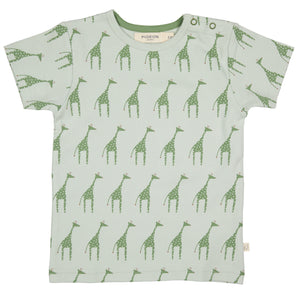 Short sleeve T-shirt - Giraffe, 3-6m